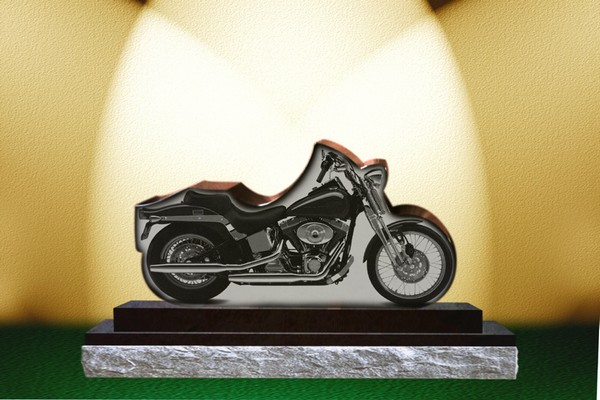 HarleybikemasterSpringer